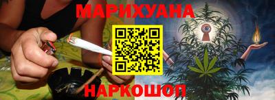 сатива Краснодар