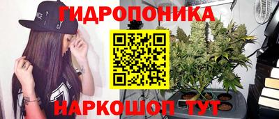 сатива Краснодар