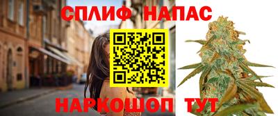 сатива Краснодар