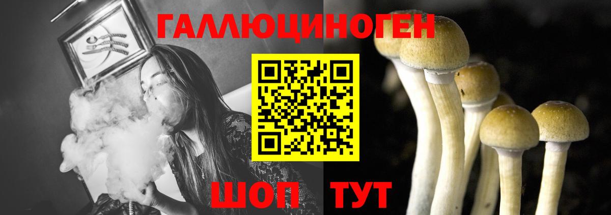 Чапаевск  Галлюциногенные грибы Psilocybe  где продают   Вход с VPN  Псилоцибиновые грибы мухоморы 